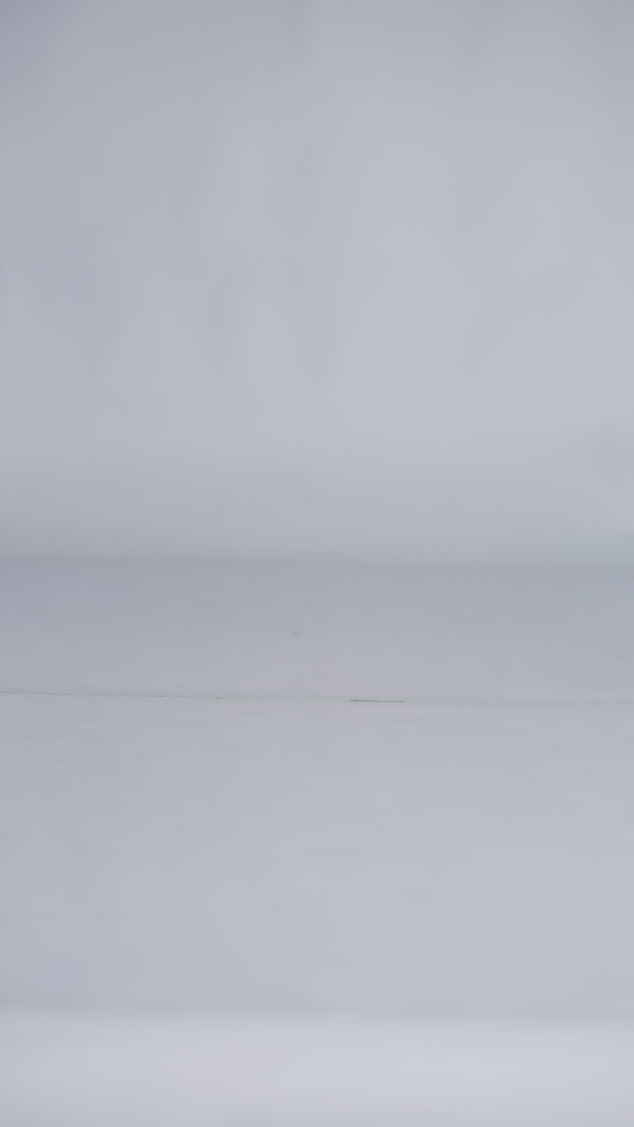 Echelon - Ivory Light